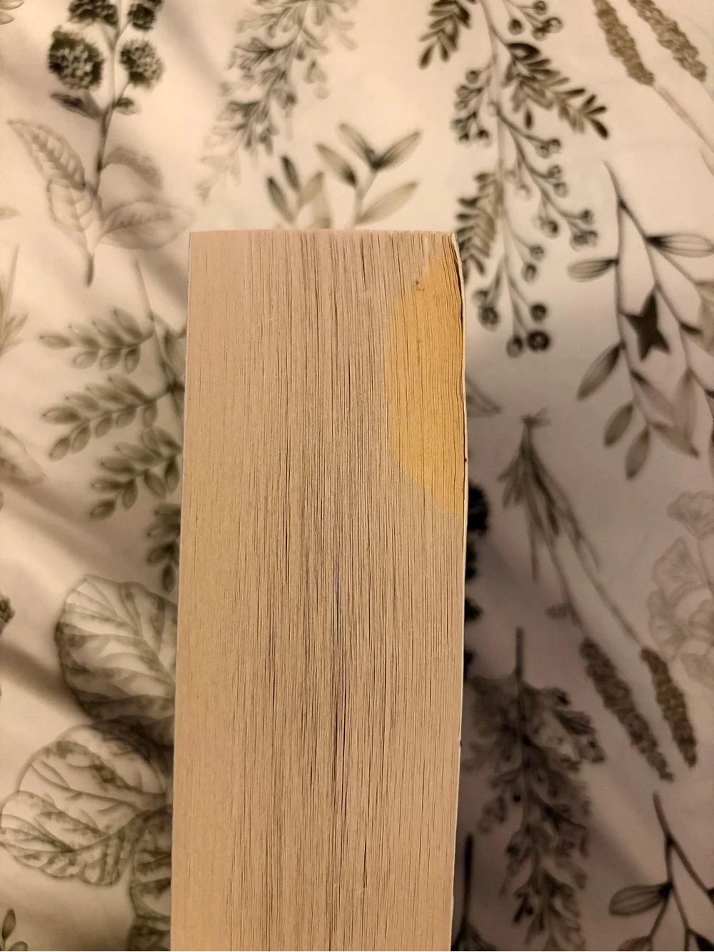 The Beauty of Darkness Book by Mary E. Pearson
